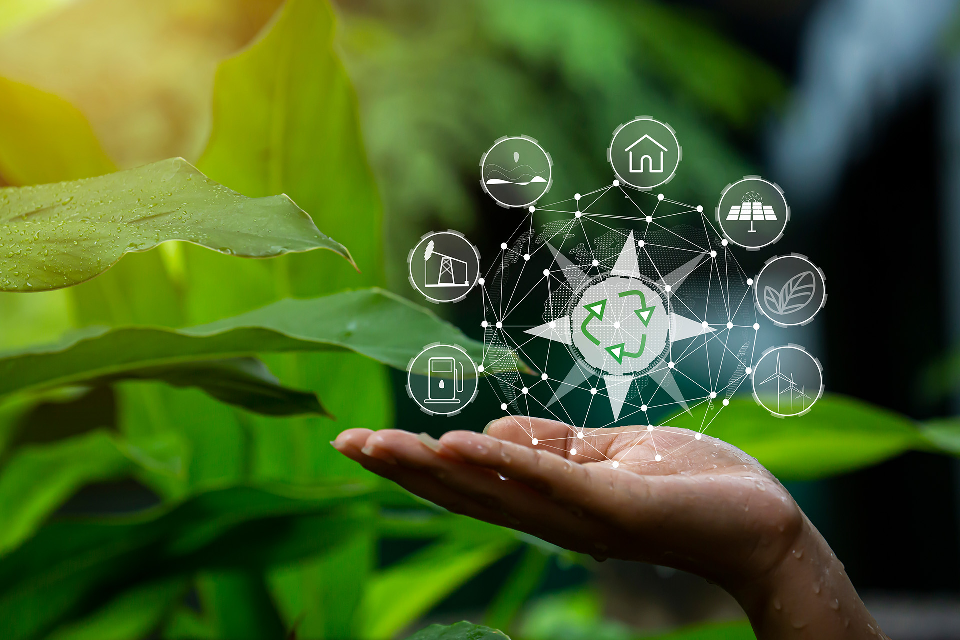 Technology,,Hand,Holding,With,Environment,Icons,Over,The,Network,Connection